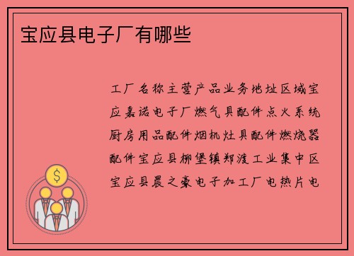 宝应县电子厂有哪些